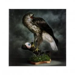 Goblin Music Buio Omega – Original Motion Picture Soundtrack LP 8 Goblin Music Buio Omega – Original Motion Picture Soundtrack LP