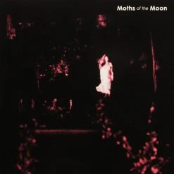 Music Another Place By Moths Of The Moon 10"