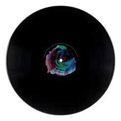 Adam Wingard Past Life Regression LP Music