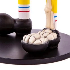 Jason Freeny Spongebob Squarepants Dissected Vinyl Figure Exclusive Toys