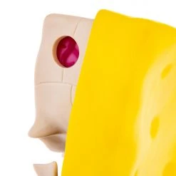 Jason Freeny Spongebob Squarepants Dissected Vinyl Figure Exclusive Toys