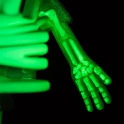 Jason Freeny Spongebob Squarepants Dissected Vinyl Figure Exclusive Toys