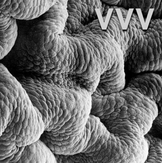 Holodeck Records Shadow World By VVV 1 Holodeck Records Shadow World By VVV