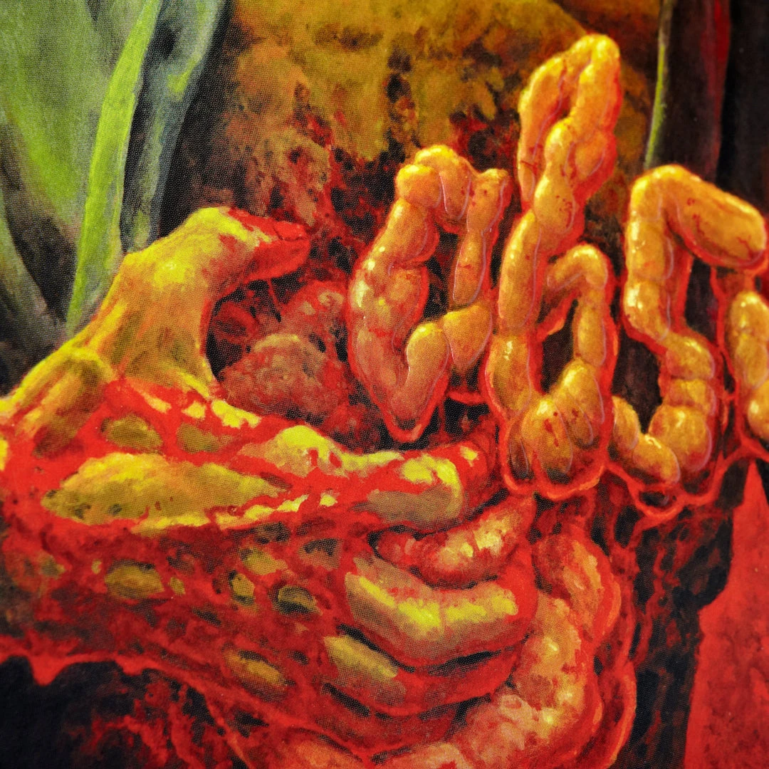 Carlo Maria Cordio Music Absurd (Rosso Sangue) Original Motion Picture Soundtrack 2XLP Carlo Maria Cordio Music Absurd (Rosso Sangue) Original Motion Picture Soundtrack 2XLP