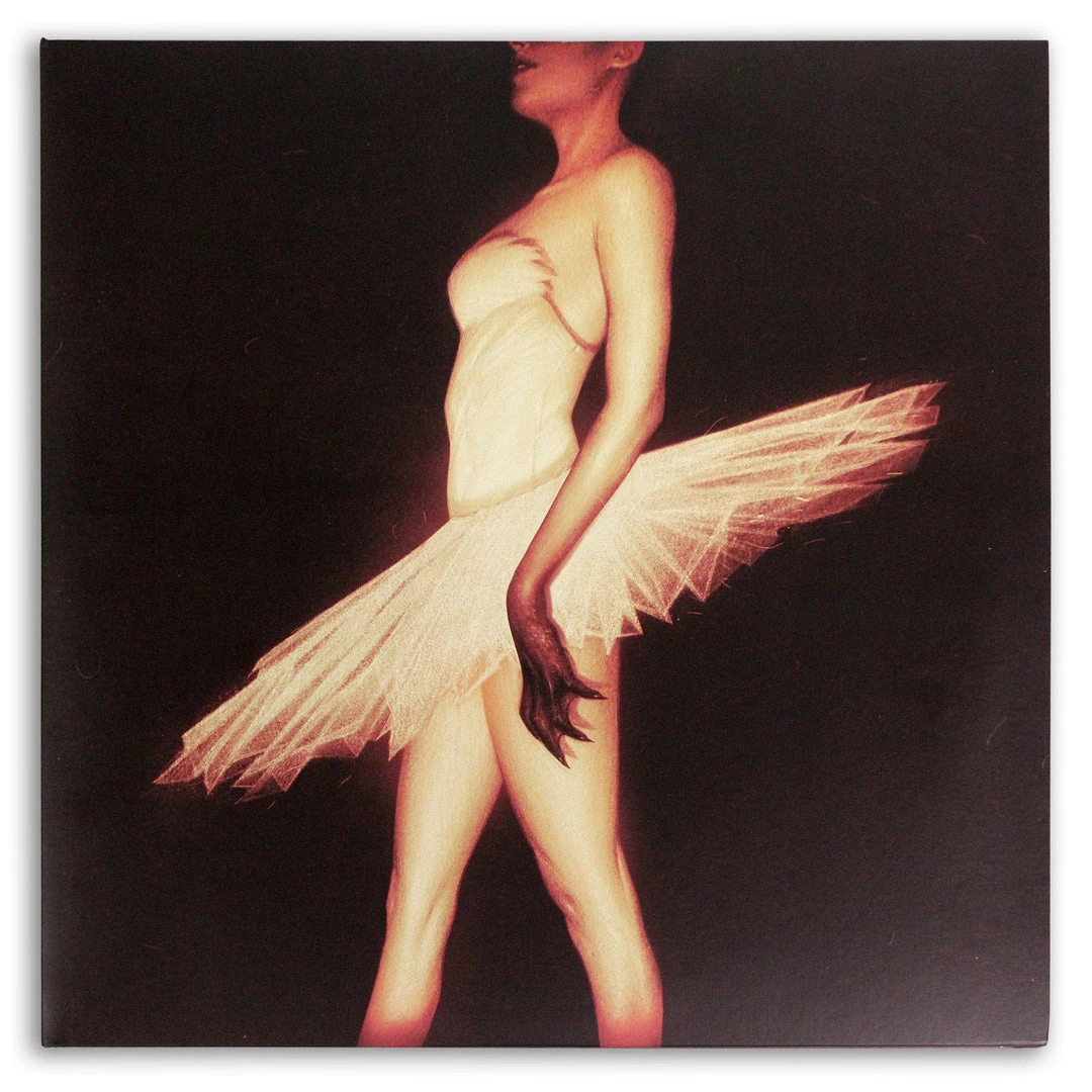 Clint Mansell Black Swan – Original Motion Picture Soundtrack 2XLP Music Clint Mansell Black Swan – Original Motion Picture Soundtrack 2XLP Music