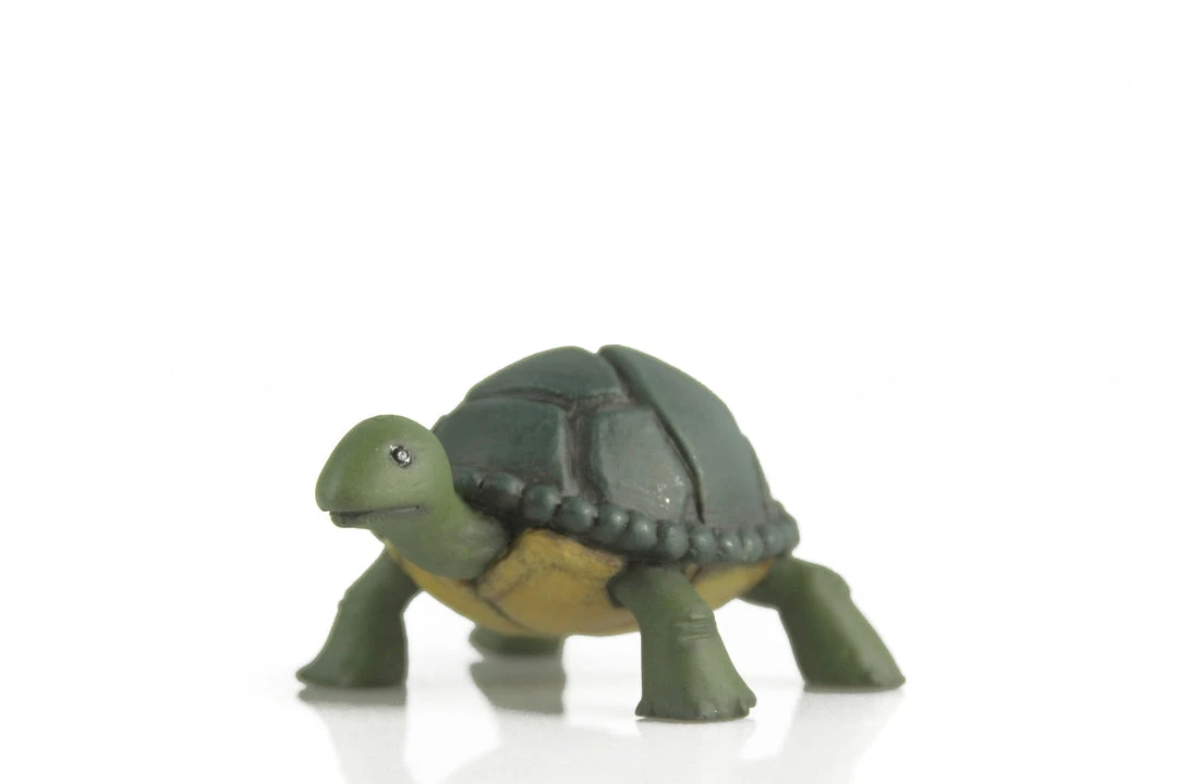 Mondo Leonardo 1/6 Scale Collectible Figure 24 Mondo Leonardo 1/6 Scale Collectible Figure